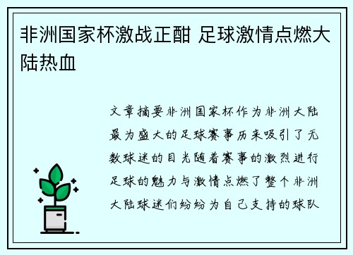 非洲国家杯激战正酣 足球激情点燃大陆热血